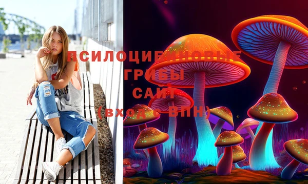 твердый Россошь