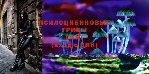 а пвп мука Ростов