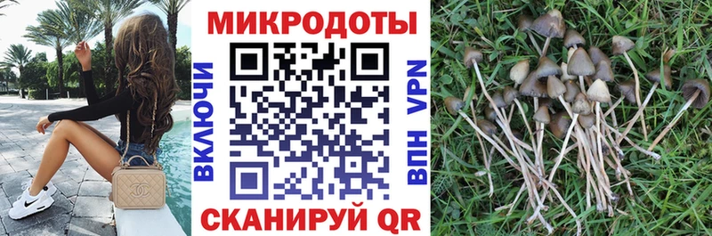 даркнет сайт MEGA как зайти Галлюциногенные грибы Psilocybe Теберда
